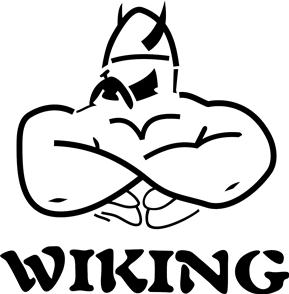 wiking logo1 small